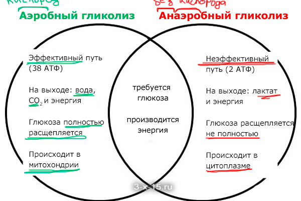 Гипоксическая тренировка – путь к здоровью | Клиника Эксперт